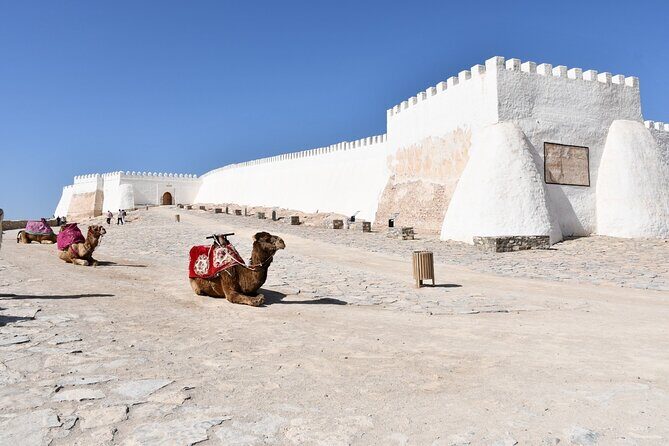 Guided Tour of Souk El Had in Agadir with a Certified Guide - Key Points