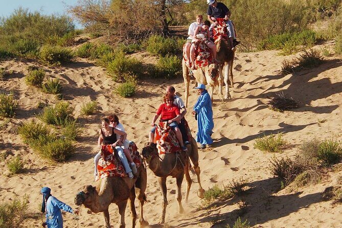 Guided Tour of Souk El Had in Agadir with a Certified Guide - Practical Tips for Travelers