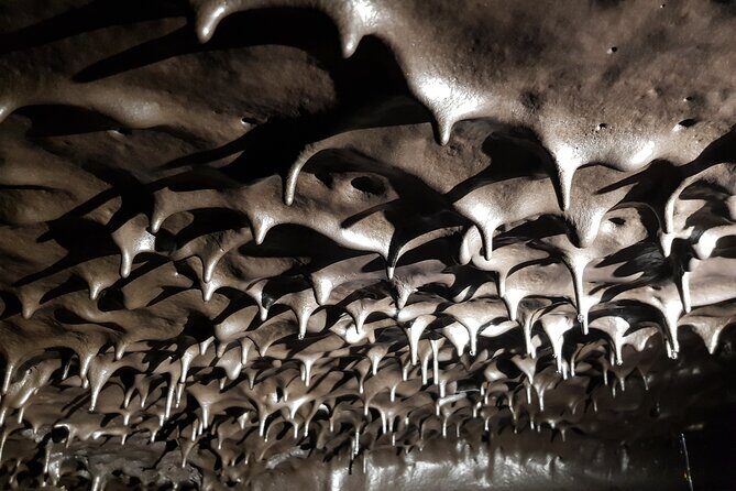 Guided tour of the 2004 lava tunnels - Exploring the Lava Tunnels: A Detailed Look