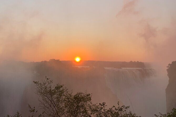 Guided Tour of the Falls Rainforest - Key Points