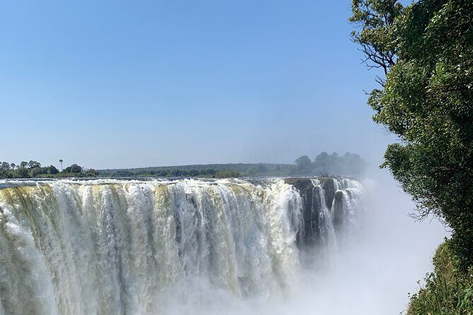 Guided Tour of the Falls Rainforest - What to Expect from the Itinerary