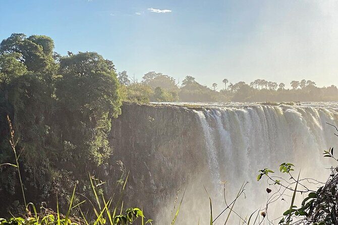 Guided Tour of the Falls Rainforest - The Real Experience: Authentic Insights from Reviewers