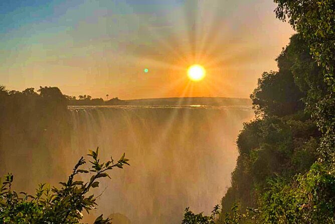 Guided Tour of the Falls Rainforest - Practical Details: What You Need to Know