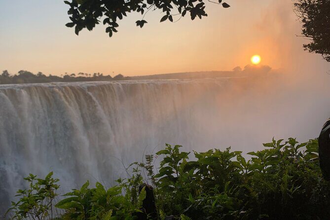 Guided Tour of the Falls Rainforest - The Sum Up: Who Will Enjoy This Tour?