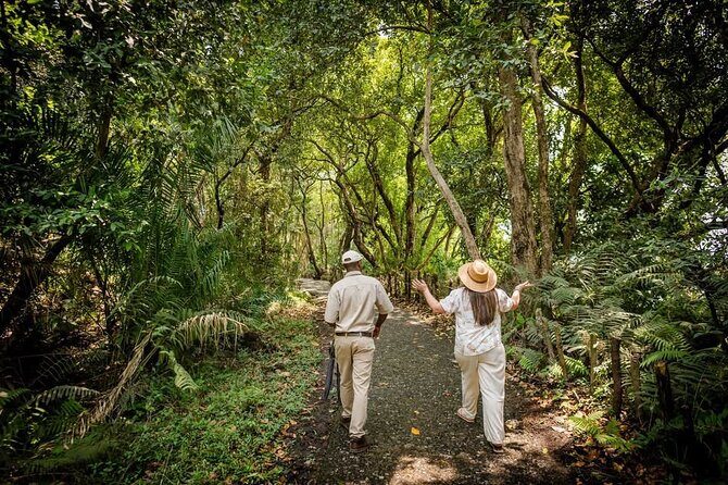 Guided Tour of the Falls Rainforest - Final Thoughts