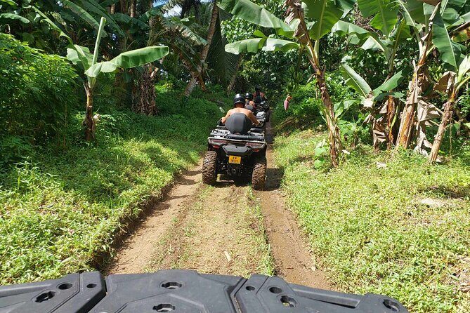 Guided tour of the island and its escapades in Tahaa by Quad / ATV - The Sum Up: Who Is This Tour Best For?