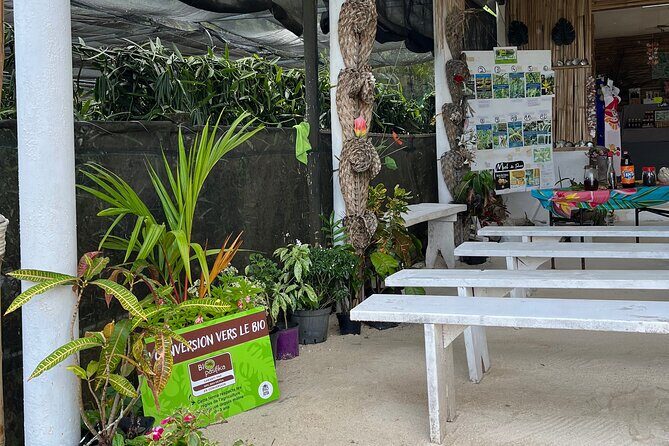 Guided tour of the island of Tahaa with Revanui Excursions - Why We Recommend This Tour