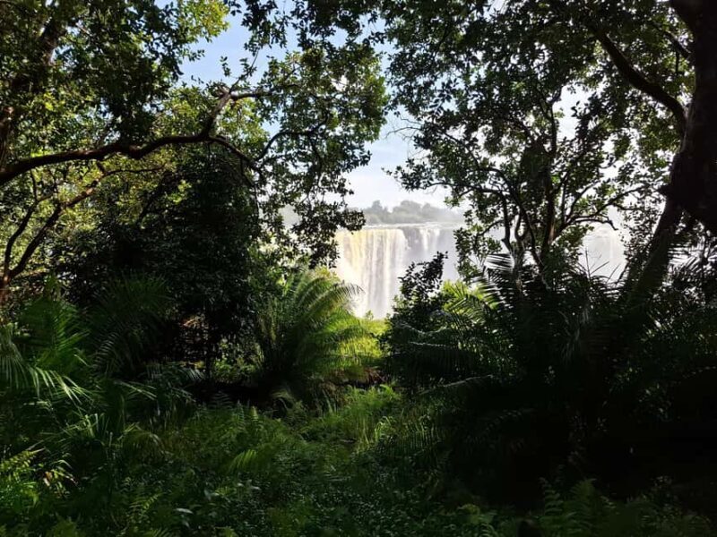 Guided tour of Victoria Falls and safari in Chobe Park - Victoria Falls: The Heart of the Experience