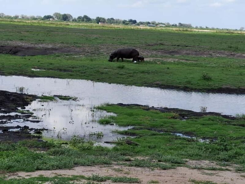 Guided tour of Victoria Falls and safari in Chobe Park - The Value Proposition