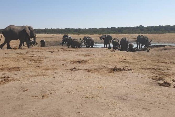 Guided Tour of Victoria Falls & Sunset Cruise Combo - The Sum Up