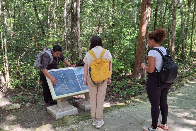 Guided Tour to Calakmul and Jungle Trail | From Bacalar. - The Journey Begins: From Bacalar to Calakmul