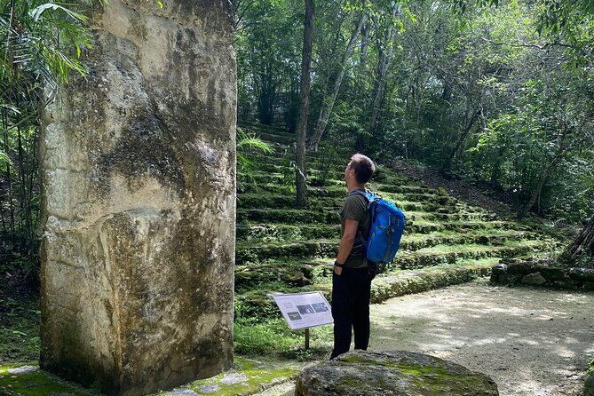 Guided Tour to Calakmul and Jungle Trail | From Bacalar. - The Jungle Walk and Wildlife Encounters