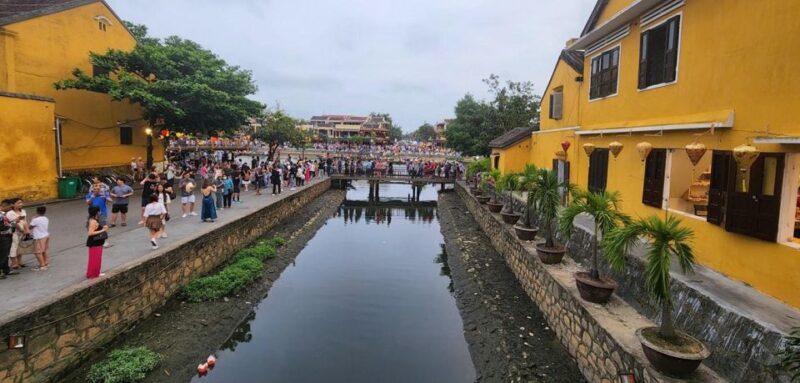 Guided Tour to Coconut Jungle-Basket Boat Ride & Hoi An City - Price & Value Analysis
