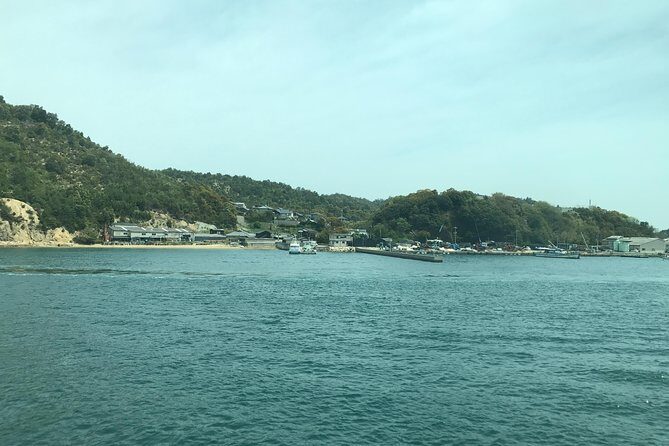 Guided Tour to Naoshima, Art, Island with a private car - Final Thoughts: Is This Tour Right for You?