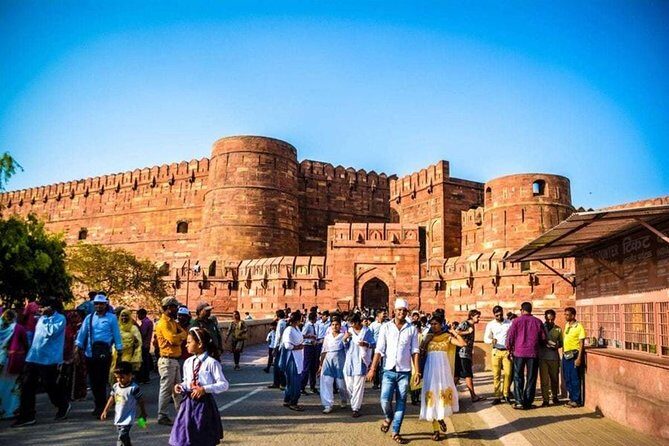 Guided Tour To Tajmahal & Wildlife SOS with Transports From Delhi - The Sum Up