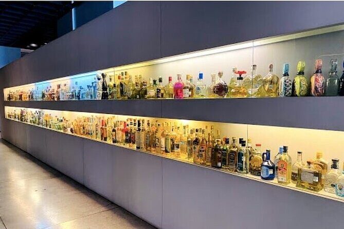 Guided Tour to the Tequila and Mezcal Museum - An In-Depth Look at the Tequila and Mezcal Museum Tour