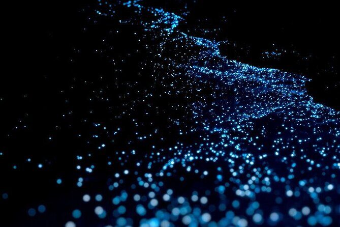 Guided Tour with Horseback Riding and Bioluminescence in Puerto Escondido - What Makes This Tour Stand Out