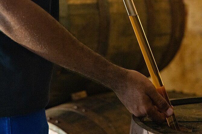 Guided tour with tasting of the Distillery Bonne Mère - The Value of the Tour