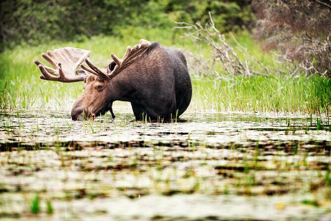 Guided Tours Algonquin Park - An Authentic Day on Algonquin’s Waters