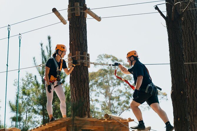 Guided Tree Ropes Course Experience in Majura Pines - Setting and Location: Beyond the City Limits