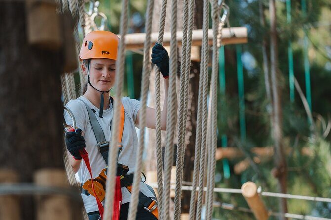 Guided Tree Ropes Course Experience in Majura Pines - The Courses and Obstacles