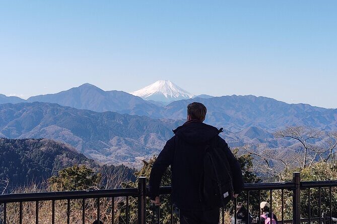 Guided Trip to Mount Takao Train Journey from Shinjuku - A detailed look at the Mount Takao guided tour