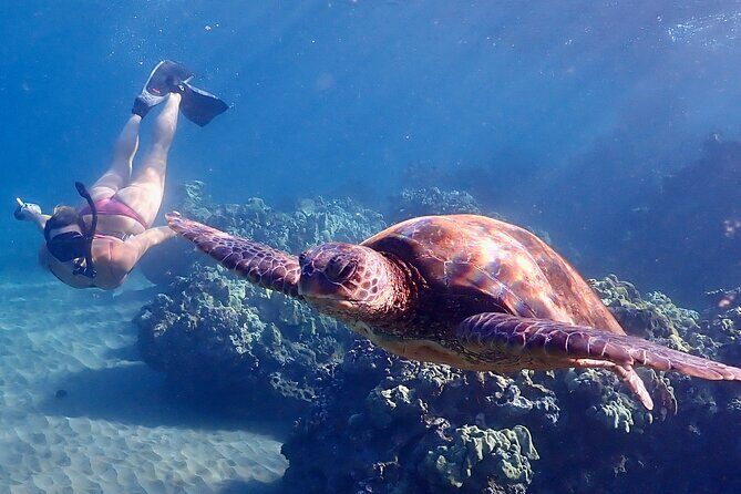 Guided Turtle Town Snorkeling Tour with Underwater Photos - A Deep Dive into the Experience