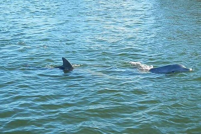 Guided Two Hour Boat Tour of the Indian River Lagoon - The Itinerary Breakdown