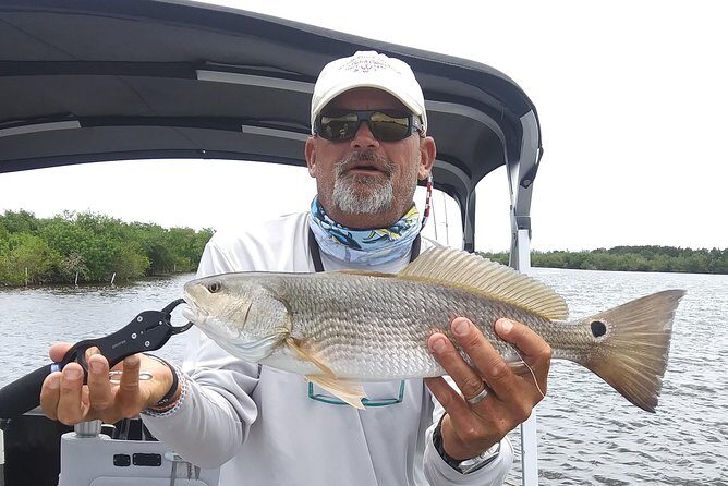 Guided Two Hour Boat Tour of the Indian River Lagoon - Authentic Experiences from Reviews