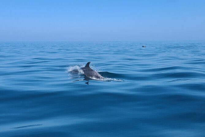 Guided Two hours Jetski Coastal Tour - The Value of the Experience