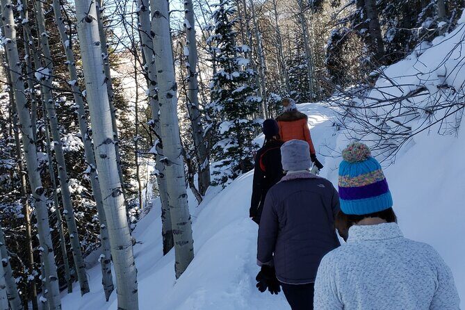 Guided Uinta Forest 3-Mile Hike w/fire + Lunch/charcuterie Stop - Exploring the Uinta Forest: A Guided 3-Mile Winter Hike