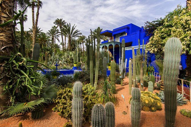 Guided Unveiling the Medina's Wonders of Marrakech - Jardin Majorelle: A Colorful Oasis