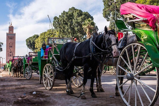 Guided Unveiling the Medina's Wonders of Marrakech - Lunch and Other Highlights