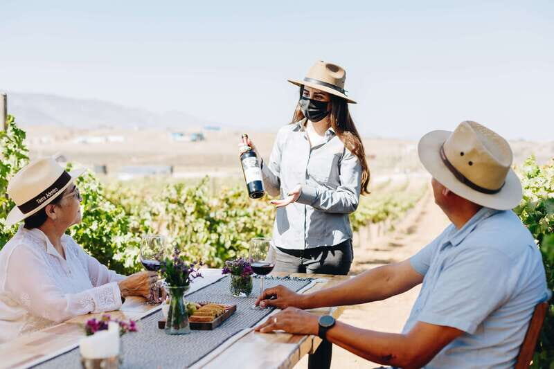 Guided Vineyard Tour with Wine Tasting at Rondo del Valle - Key Points