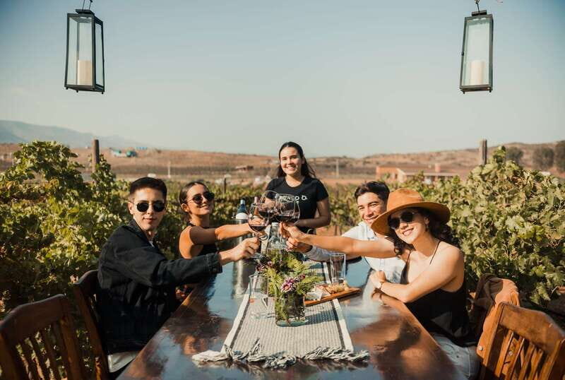 Guided Vineyard Tour with Wine Tasting at Rondo del Valle - The Vineyard Tour