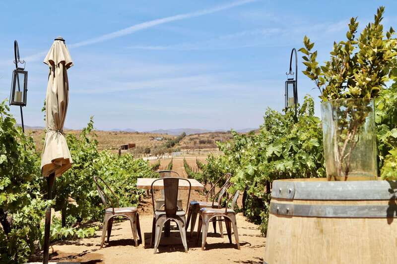 Guided Vineyard Tour with Wine Tasting at Rondo del Valle - Authenticity and Value