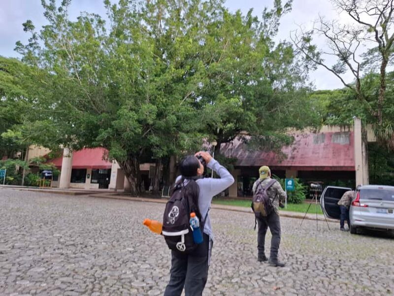 Guided visit in the Palenque jungle (Palenque National Park) - An In-Depth Look at the Experience