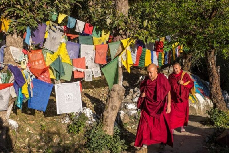 Guided Walk, India's Own Mini Tibet at Mcleodganj - Who Should Consider This Experience
