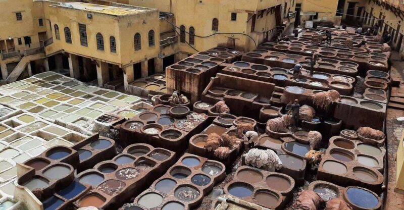 Guided walking tour in Old medina fez - Key Points