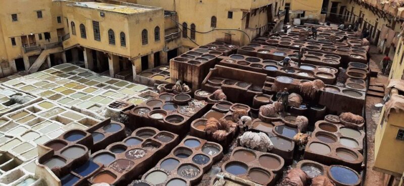 Guided walking tour in Old medina fez - Final Thoughts