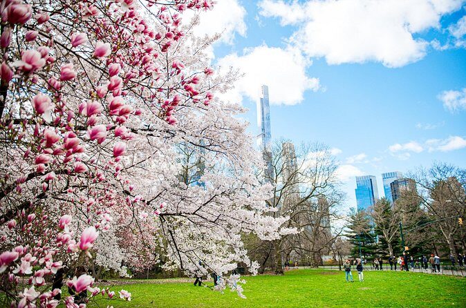 Guided Walking Tour Of Central Park - Final Thoughts: Who Will Love This Tour?