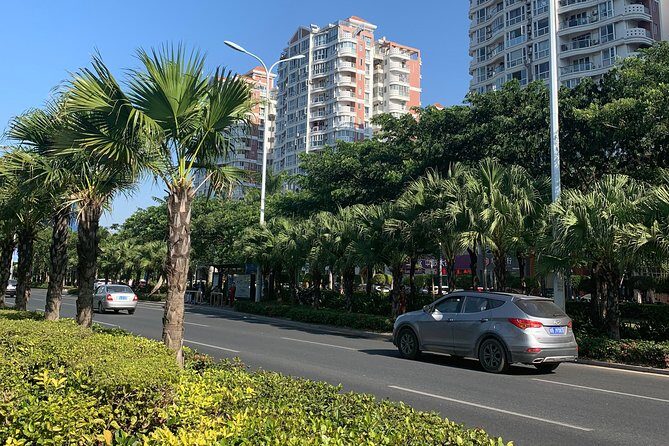 Guided Walking Tour to experience life of a local Hainanese - Highlights of the Tour