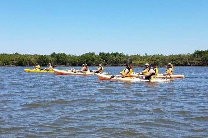 Guided Wildlife Eco Kayak Tour in New Smyrna Beach - Final Thoughts