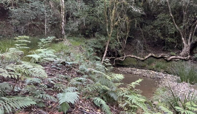 Guided Wildlife Tour and Forest Walk with Lunch Platter - Who Will Love This Experience?