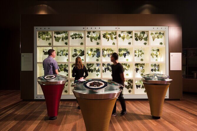 Guided Wine Journey and Discovery Tasting Tour in Adelaide - An Honest Look at the Guided Wine Journey and Discovery Tasting Tour in Adelaide