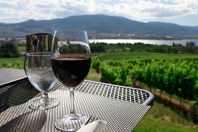 Guided Wine Tour through the Niagara Wine Trail - Explore the Niagara Wine Trail Experience