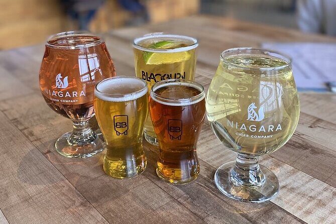 Guided Wine Tour through the Niagara Wine Trail - Who Will Love This Tour?