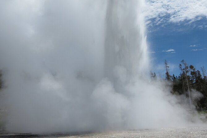 Guided Yellowstone Hot Spring & Geyser Basin Tour - Frequently Asked Questions