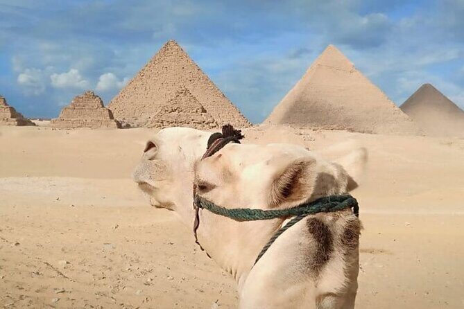 Guiding Half Day To Giza Pyramids with Hotel pickup - The Experience: What to Expect from This Giza Pyramids Tour
