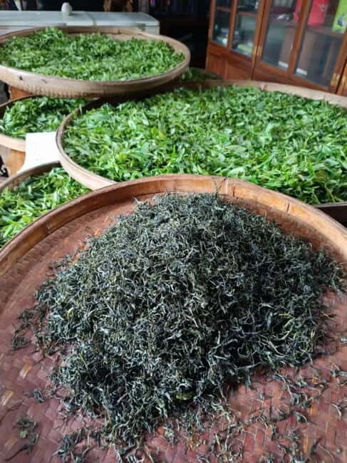 Guilin: City Tour with Elephant Hill & Ming Tea Tasting - Exploring Guilin’s Iconic Elephant Trunk Hill